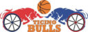Ticino Bulls